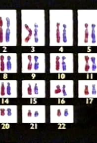 Primary photo for Foetal Attraction