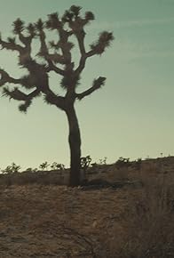 Primary photo for Hunted