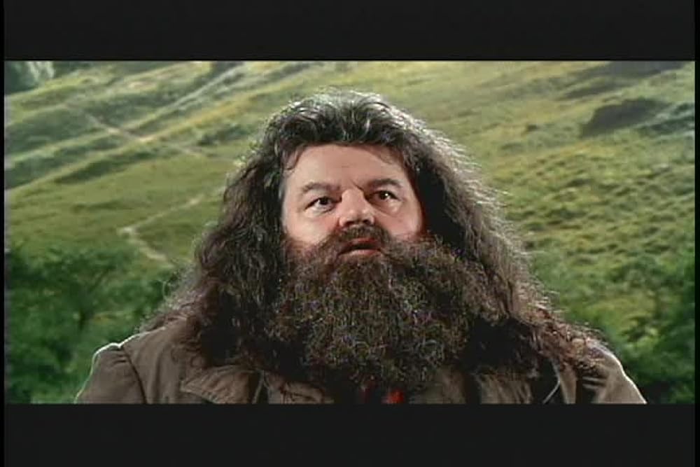 harry-potter-and-the-chamber-of-secrets-harry-potter-and-the-chamber