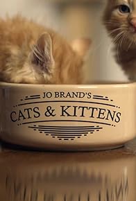 Primary photo for Jo Brand's Cats & Kittens