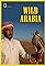 Wild Arabia's primary photo