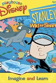 Primary photo for Stanley: Wild for Sharks! Primary photo for Stanley: Wild for Sharks!