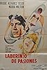 Primary photo for Laberinto de pasiones
