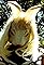 Go Ask Alice's primary photo