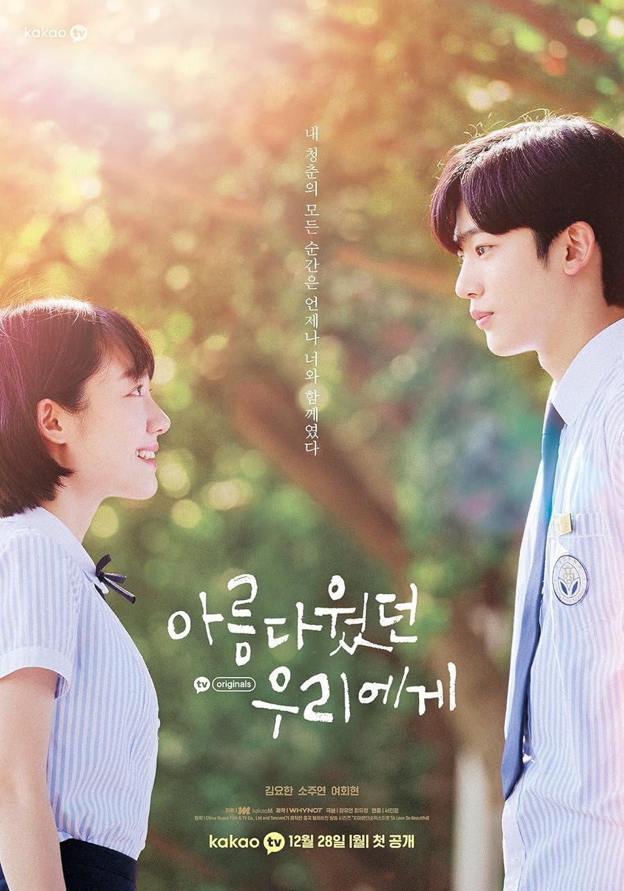A Love So Beautiful Poster