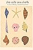 Primary photo for She Sells Seashells