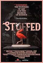 Stuffed