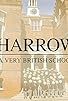 Primary photo for Harrow: A Very British School Primary photo for Harrow: A Very British School