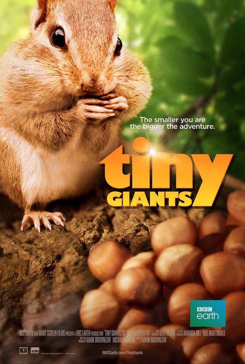 Poster of Tiny Giants 3D