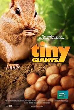 Poster of Tiny Giants 3D