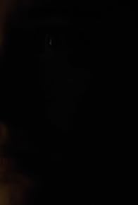 Primary photo for Aves de corral