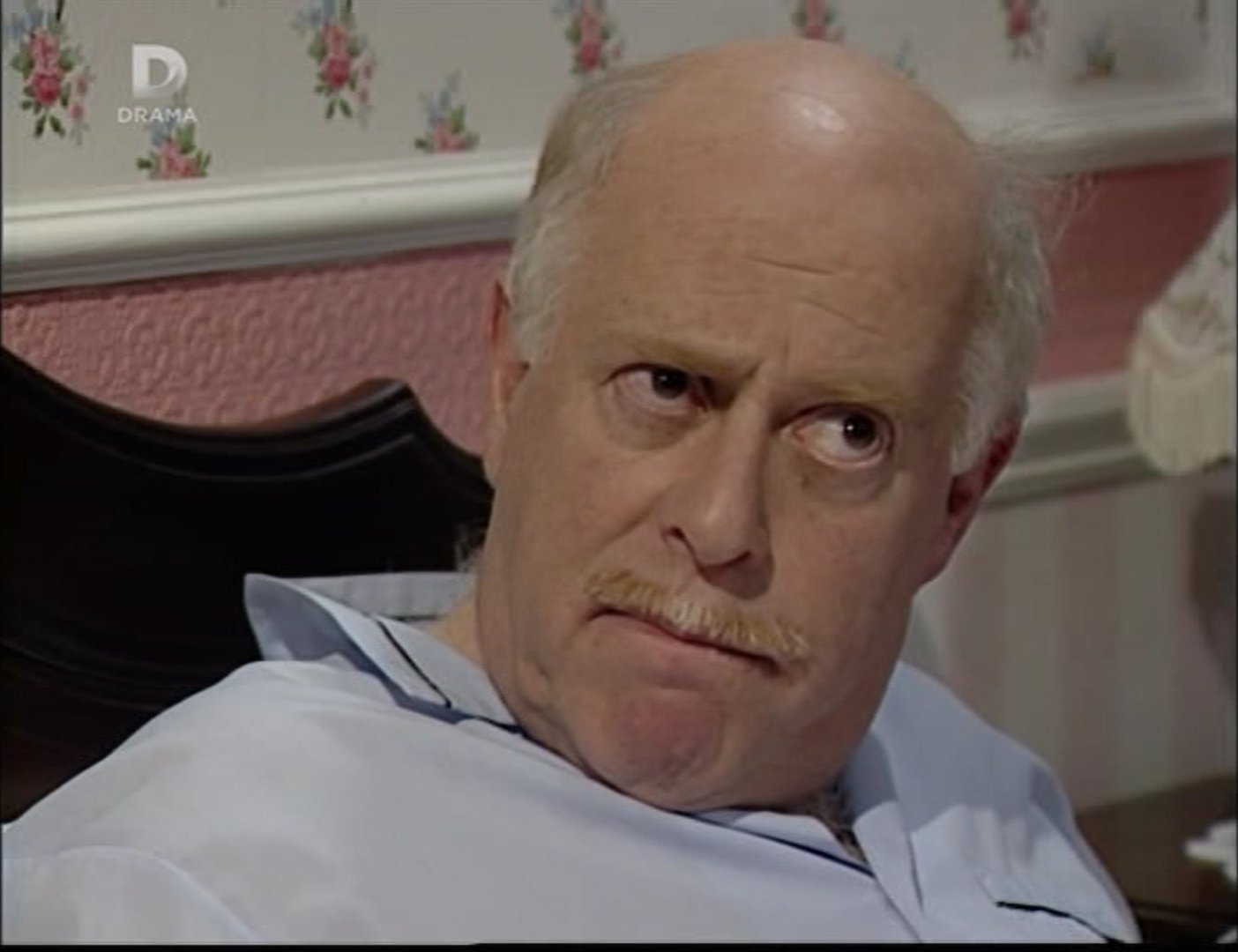 A Celebrity for the Barbecue (1993) A Celebrity for the Barbecue (1993)