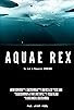 Primary photo for Aquae Rex