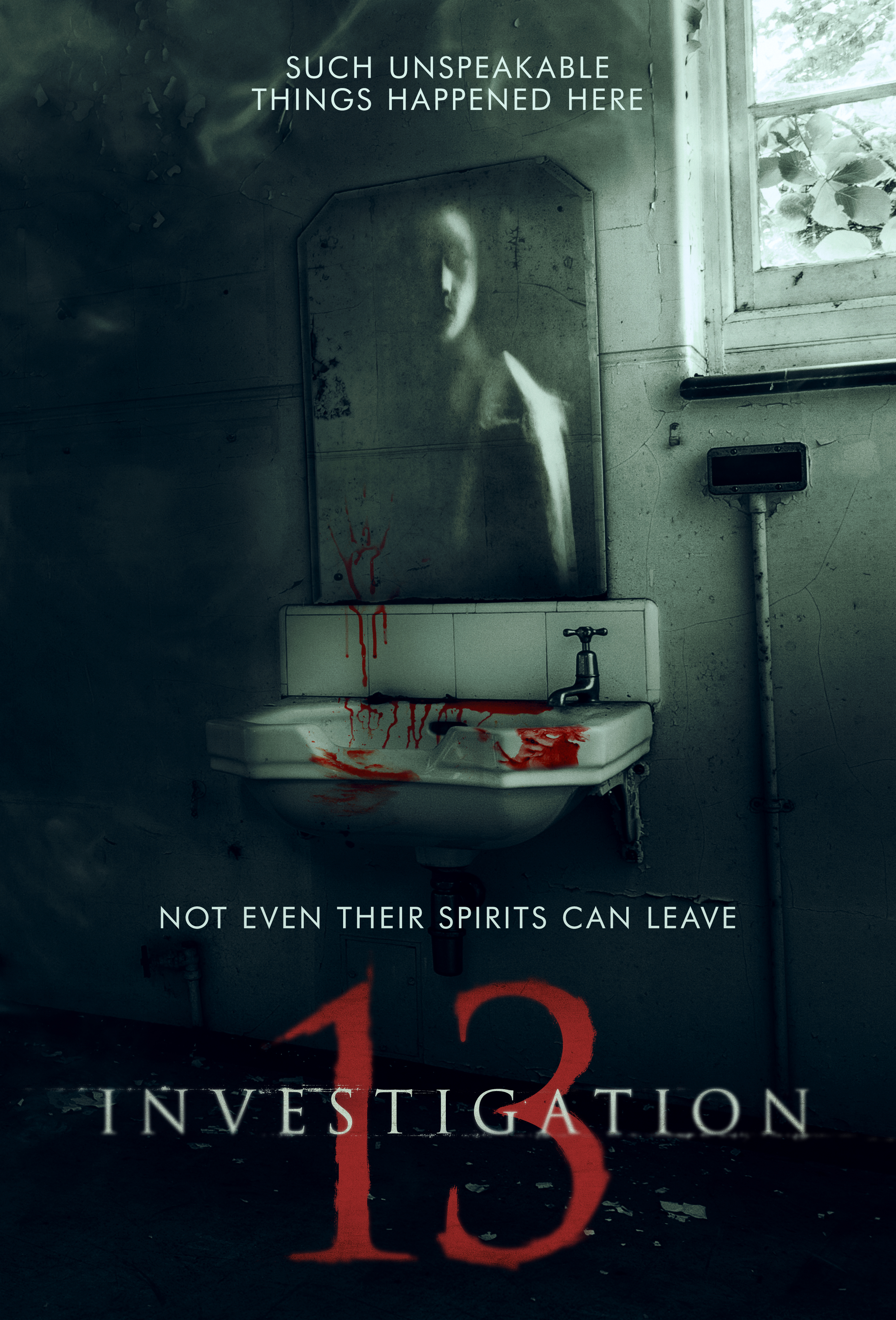 Poster of Investigation 13