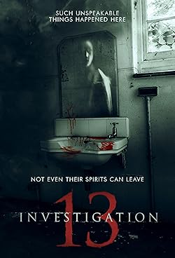Poster of Investigation 13