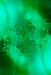 Primary photo for El origen del llanto