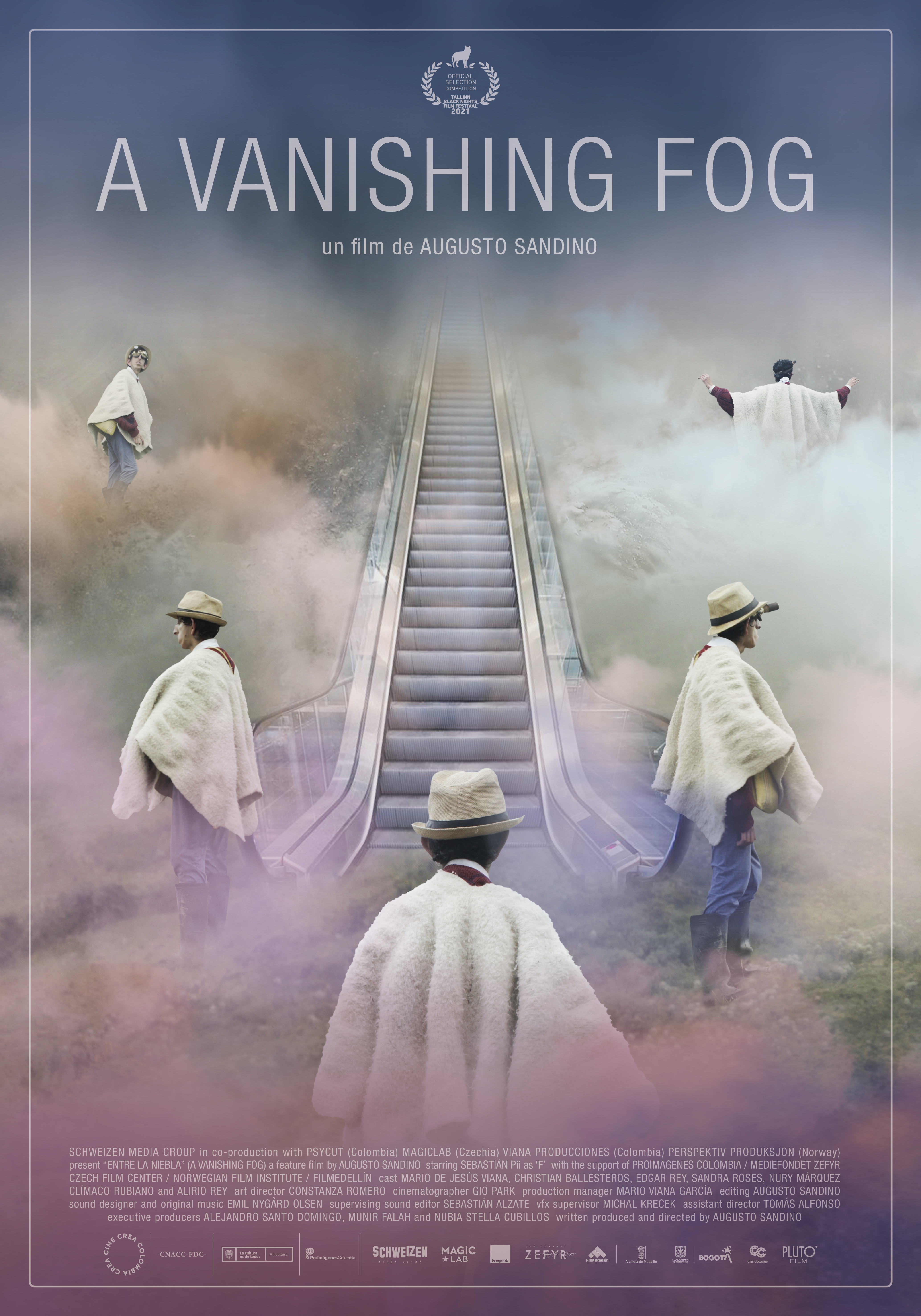 Poster of A Vanishing Fog