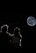 Full Moon Rising's primary photo
