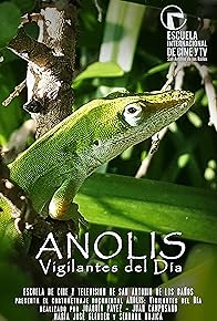 Primary photo for Anolis: vigilantes del día