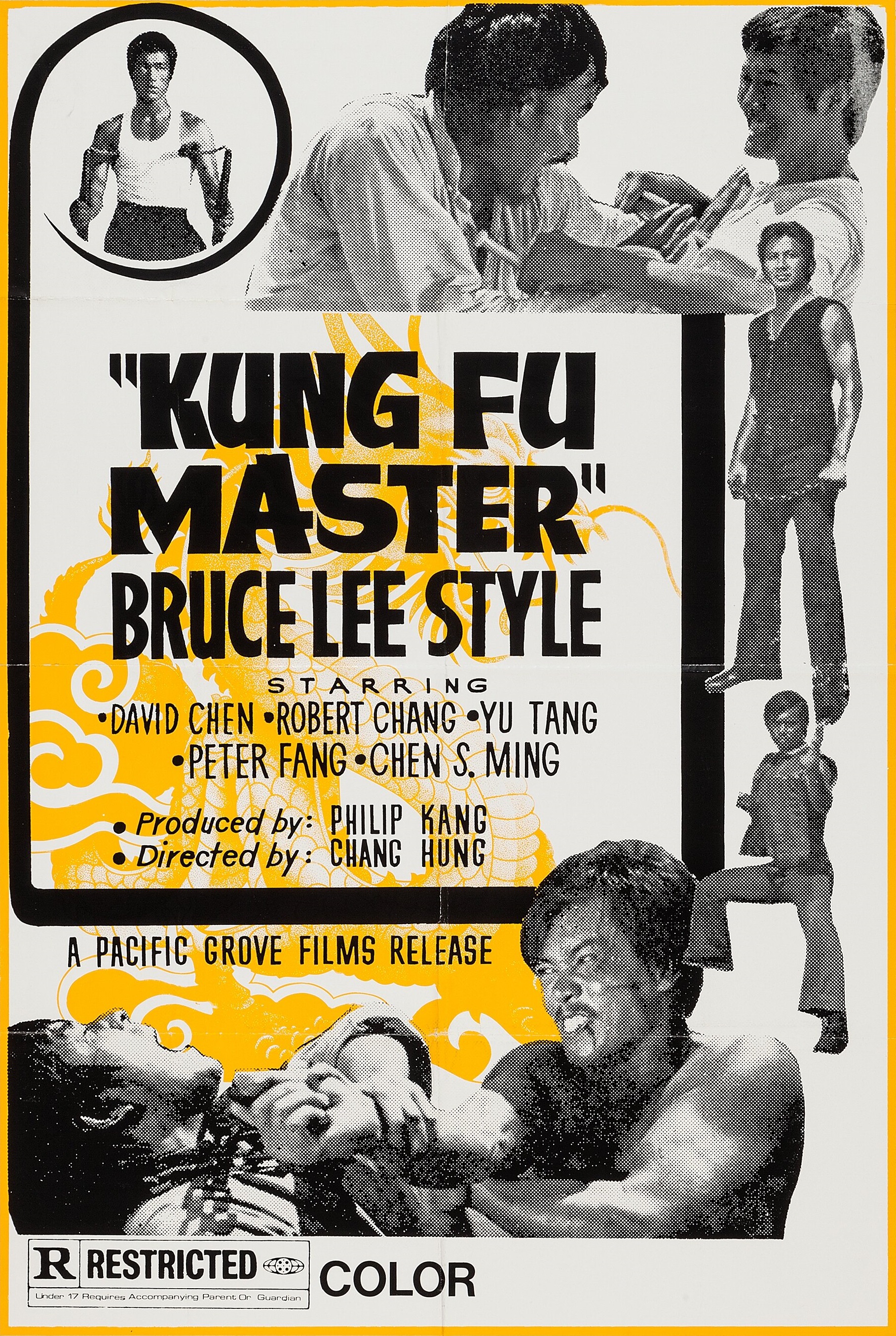 Kung Fu Master: Bruce Lee Style
