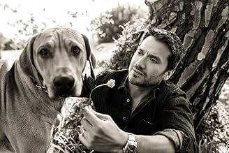 पोस्टर देखें