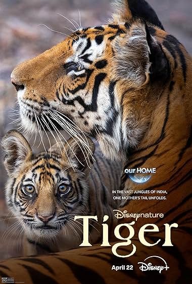 Tiger 2024 movie poster - watch and download free