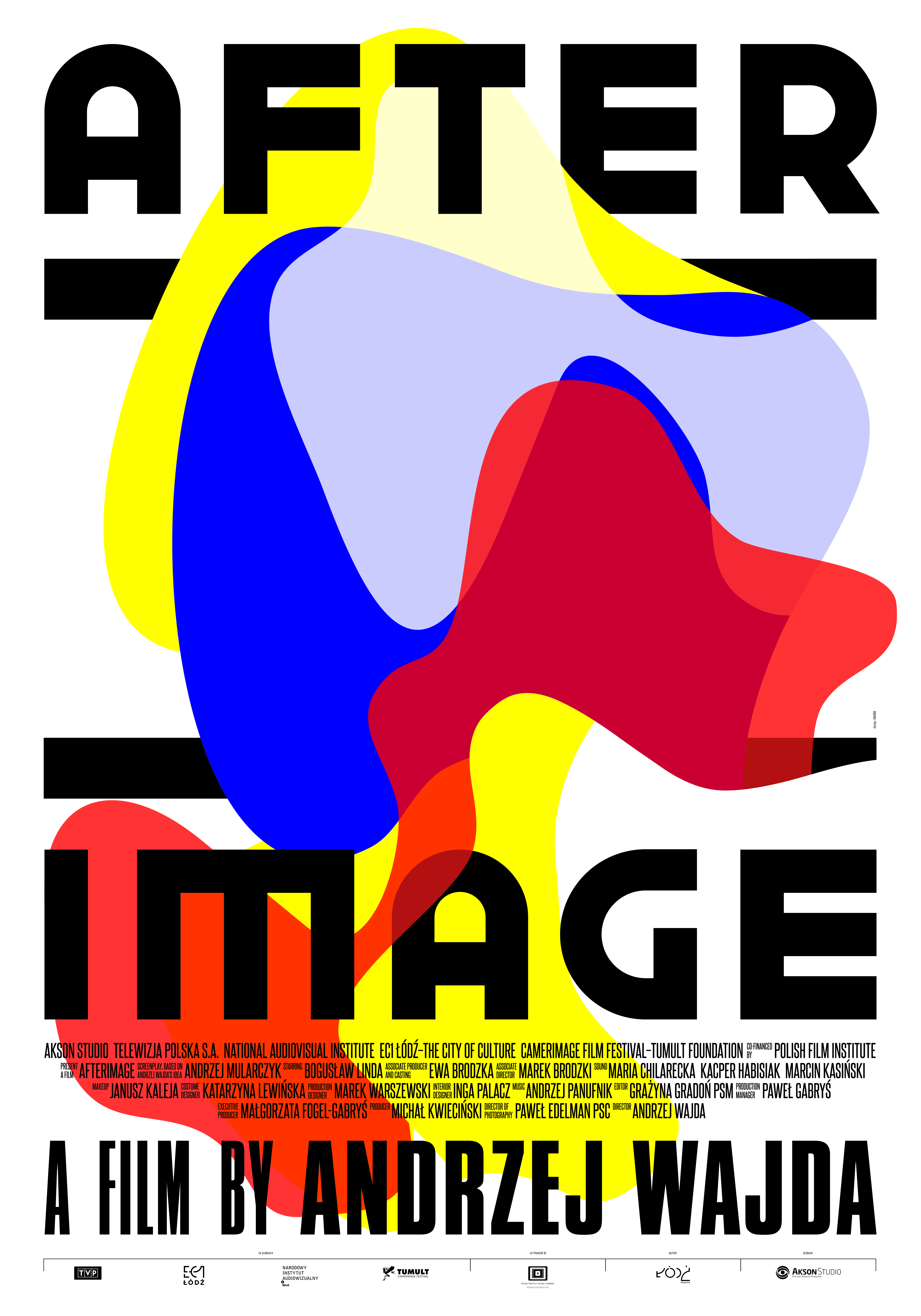 Poster of Afterimage