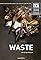 Waste's primary photo