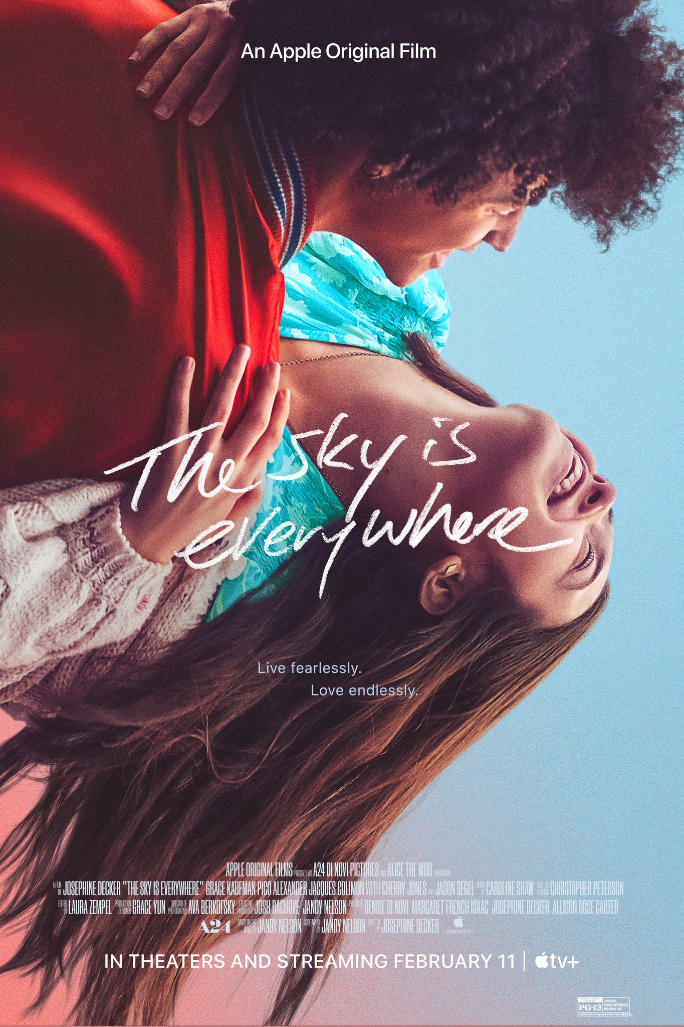 Poster of The Sky Is Everywhere