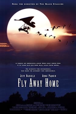 Poster of Fly Away Home