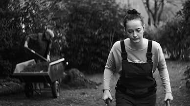 पोस्टर देखें