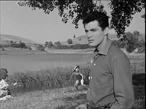 पोस्टर देखें