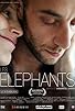 Primary photo for Les éléphants Primary photo for Les éléphants