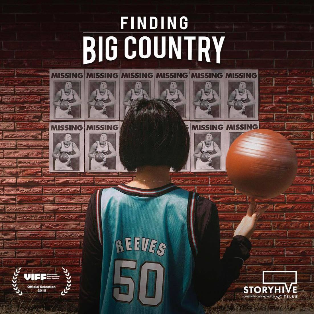 Poster of Finding Big Country