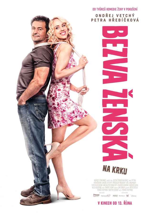 Poster of Stuck with a Perfect Woman