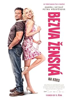 Poster of Stuck with a Perfect Woman