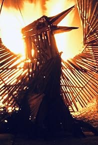 Primary photo for The Phoenix Forest