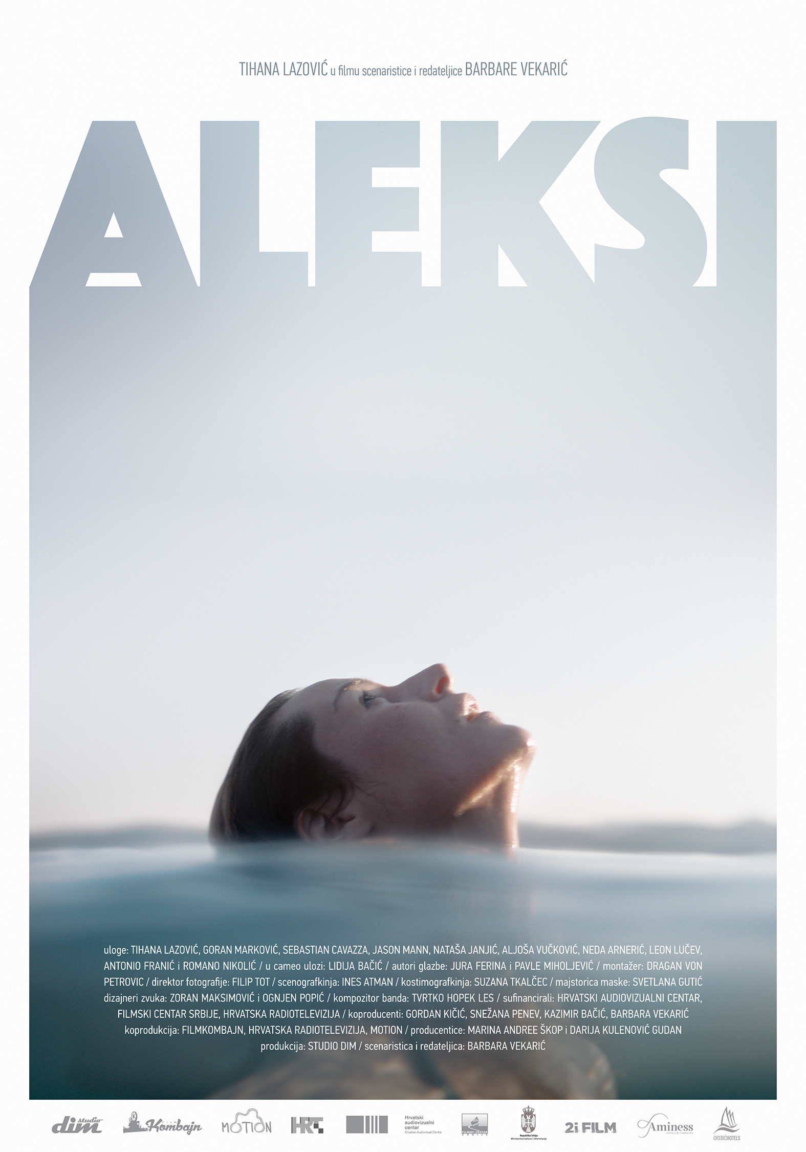 Poster of Aleksi