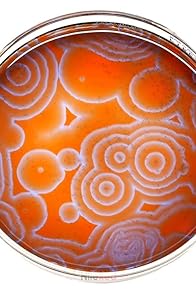 Primary photo for Making my favorite liquid carcinogen