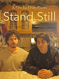 Poster of Stand Still