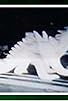 Primary photo for Dinosaur Destroyer Primary photo for Dinosaur Destroyer