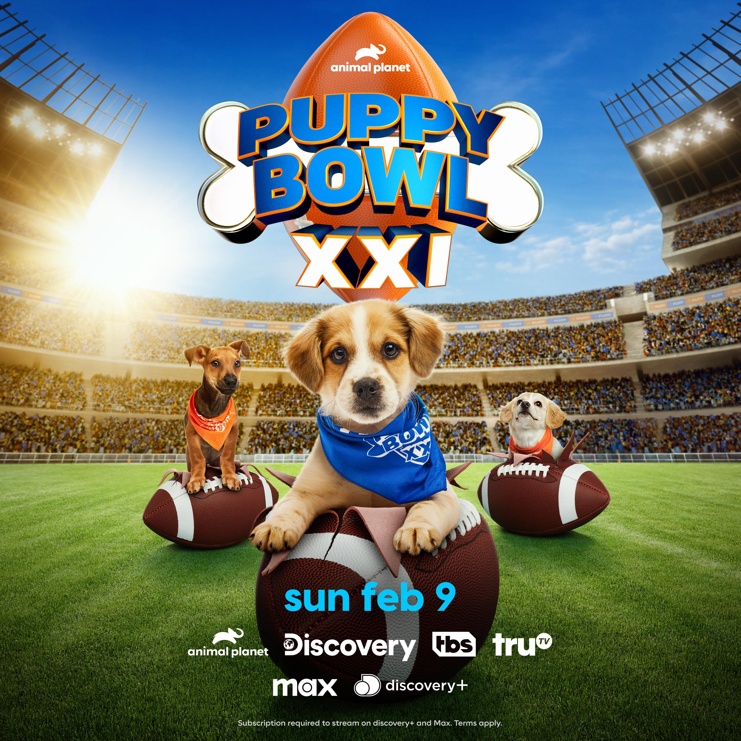 Poster of Puppy Bowl XXI
