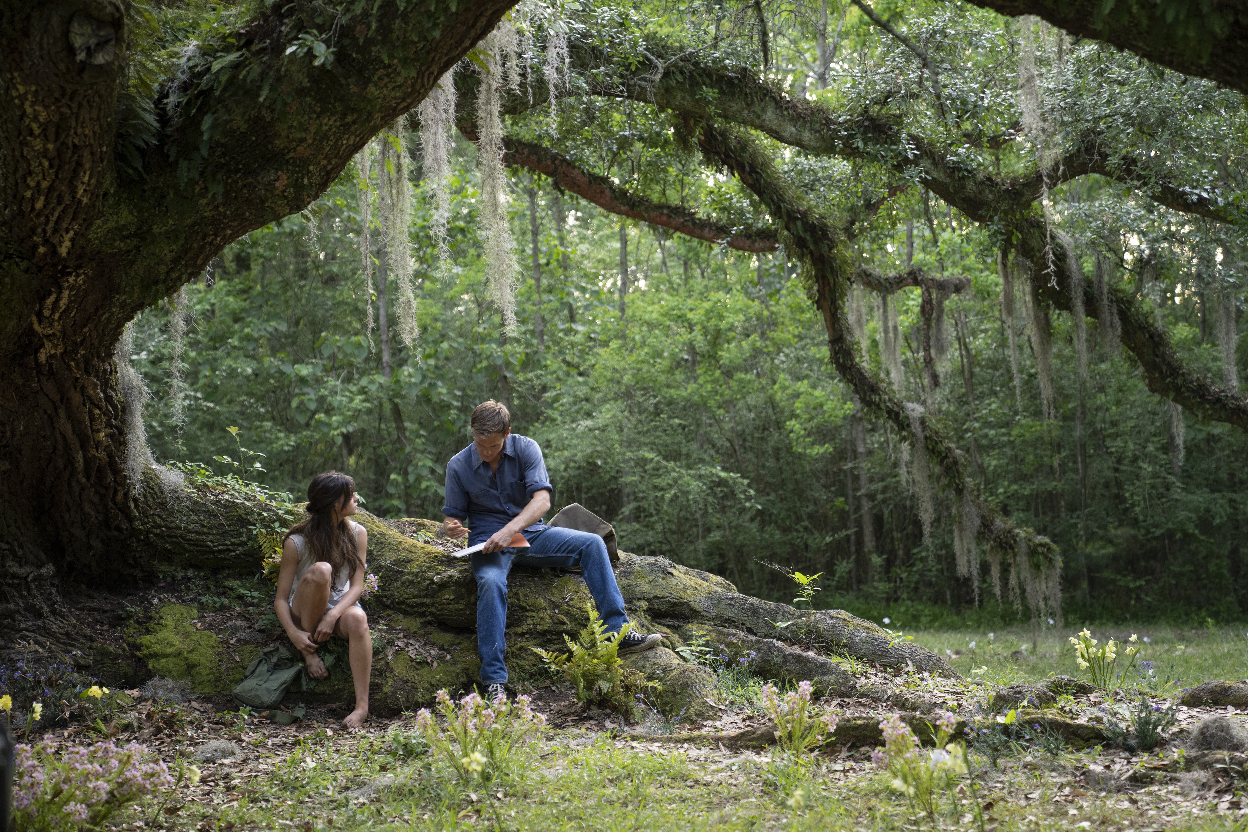 Where the Crawdads Sing (2022) - IMDb