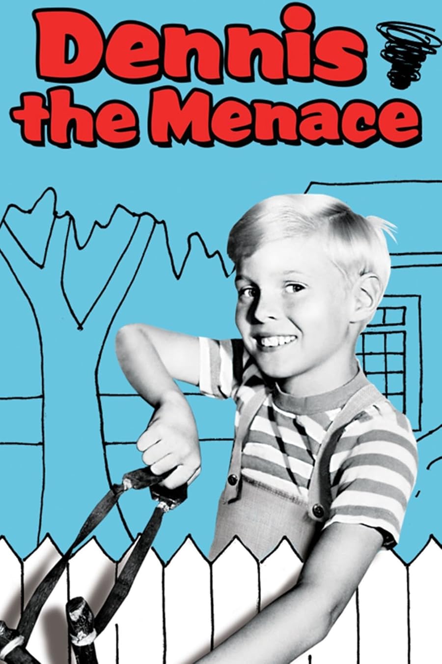 Dennis the Menace Poster
