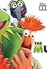 Primary photo for The Muppets Primary photo for The Muppets