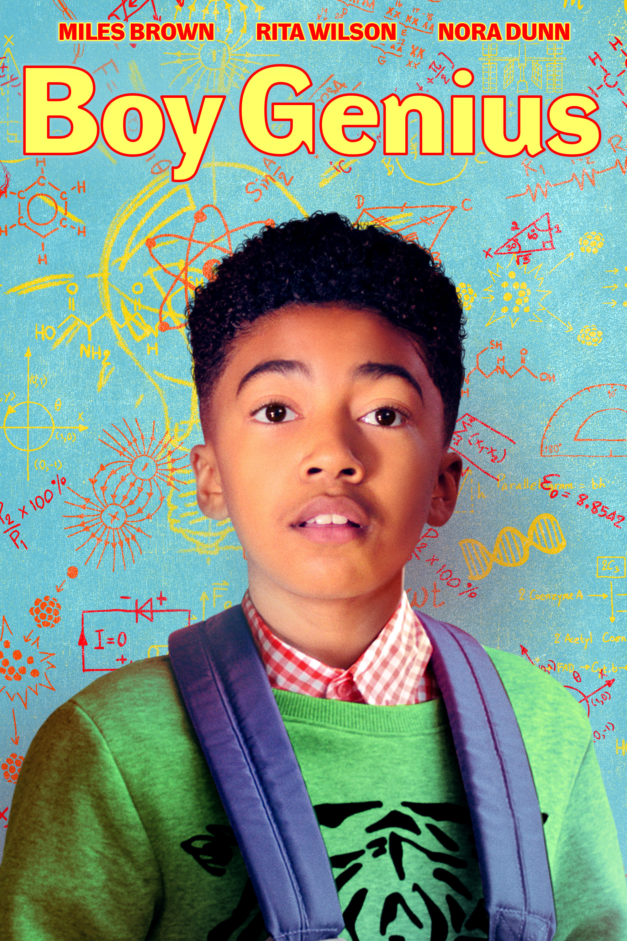 Poster of Boy Genius