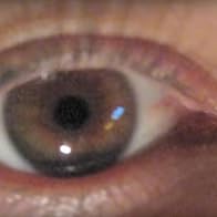 Primary photo for R.E.M.: Every Day Is Yours to Win