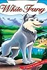 Primary photo for White Fang Primary photo for White Fang
