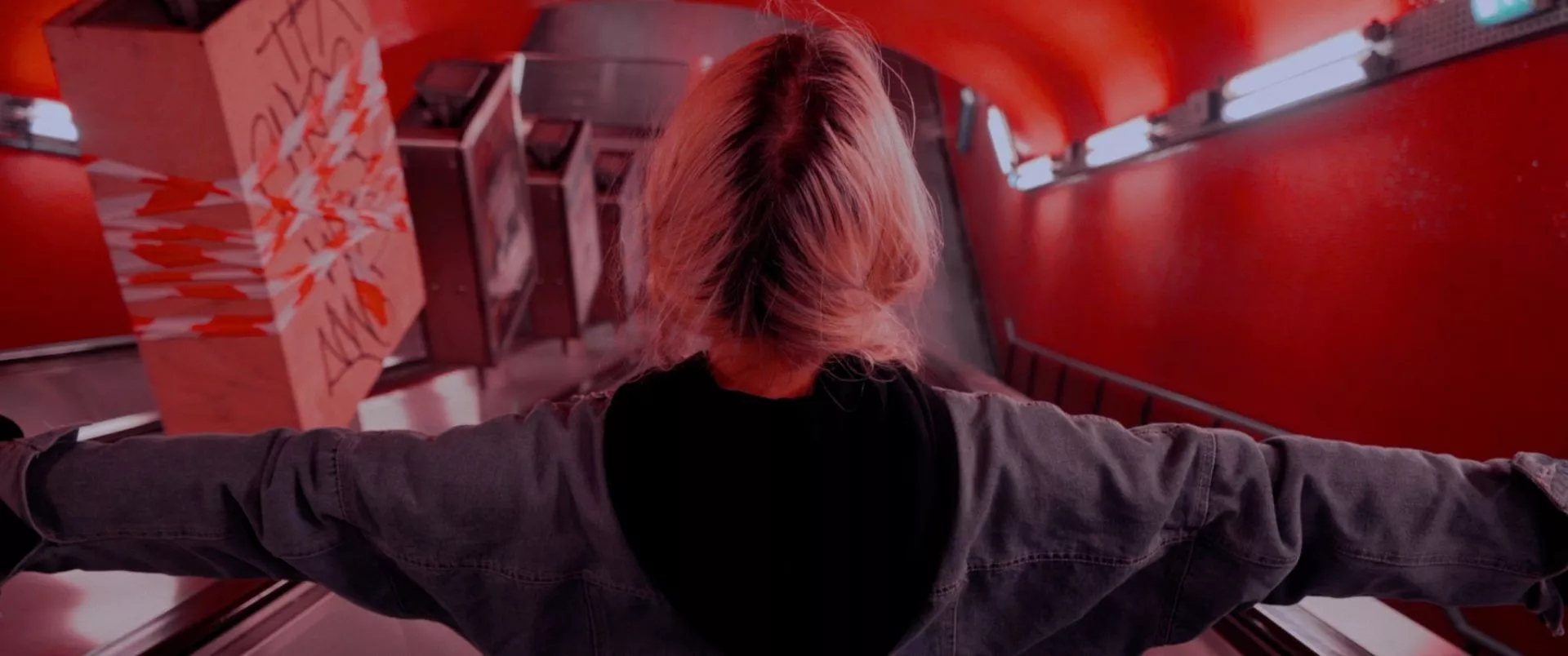 Poster of Why Moths Fly to the Light?