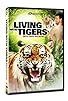 Primary photo for Living with Tigers Primary photo for Living with Tigers